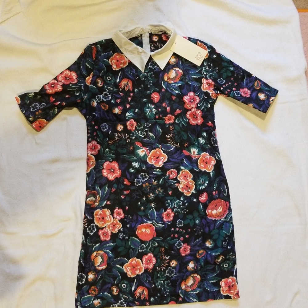 NWT Womens Zara School Girl Floral Collared Dress